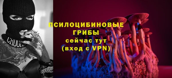 COCAINE Богородск