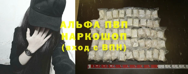 дмт Богданович