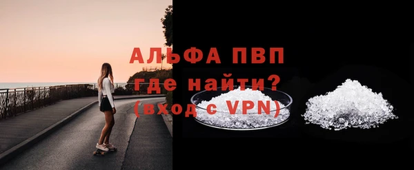 дмт Богданович