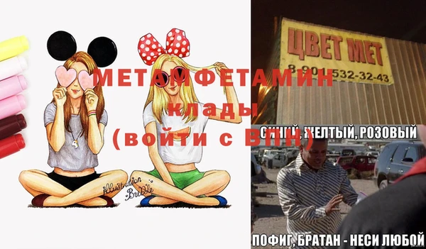 дмт Богданович