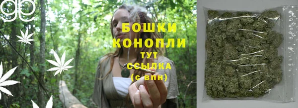 дмт Богданович